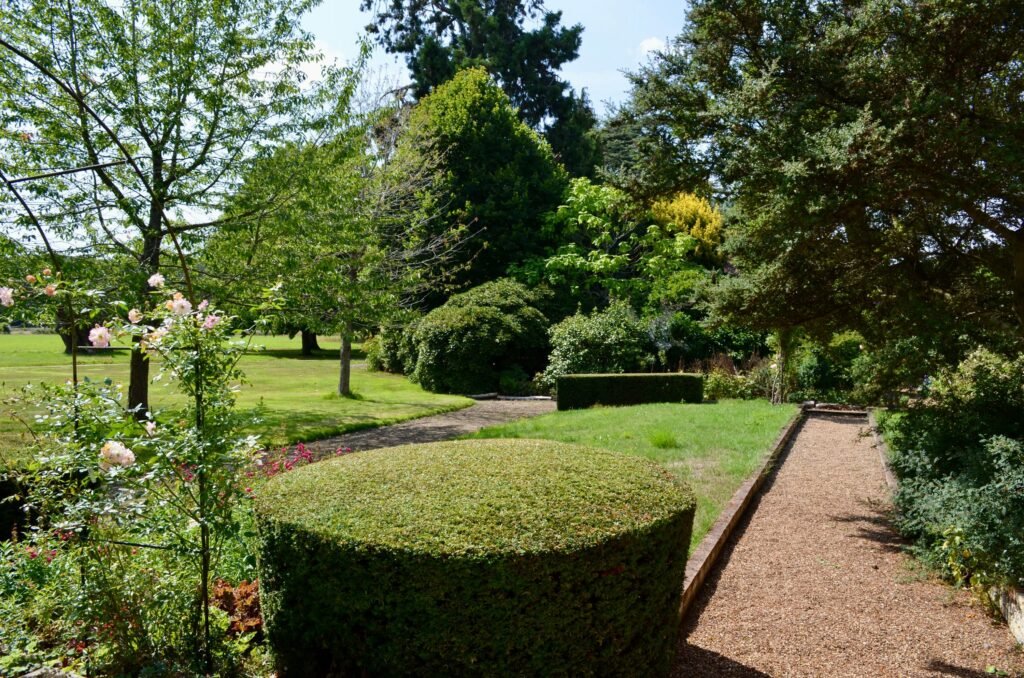 Manicured English garden with clipped hedges, roses and a gravel path